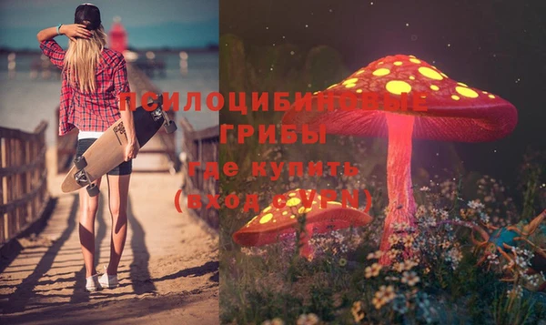 дмт Алексеевка