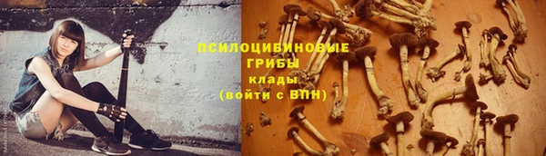 ALPHA PVP Алзамай