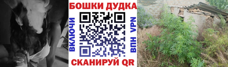где найти наркотики Касимов МАРИХУАНА планчик